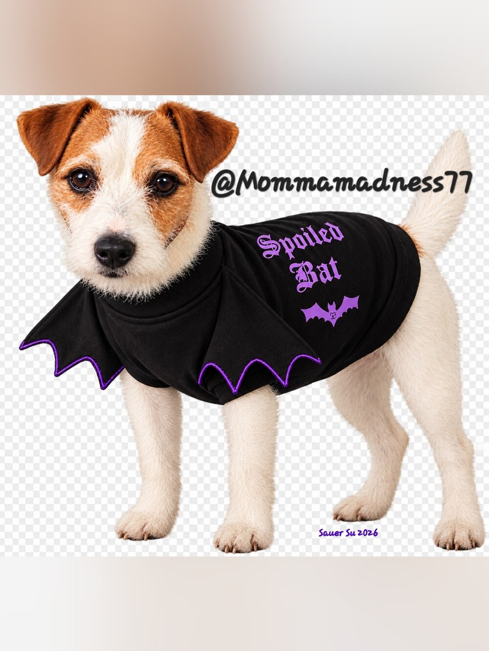 👻PINK Victoria's Secret Black & Purple 'Spoiled Bat' Dog Costume Jacket🦇